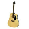 Pluto HW41C-201 Acoustic Guitar