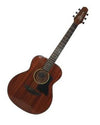 Granada, Acoustic Guitar, Grand Symphony GS-100 -Natural
