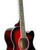 DOLPHIN DT-10C SEMI ACOUSTIC GUITAR (ONLY GUITAR)