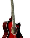 DOLPHIN DT-10C SEMI ACOUSTIC GUITAR (ONLY GUITAR)